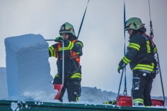 SchneeRosenau110119_Kollinger-52
