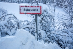 SchneeRosenau110119_Kollinger-60