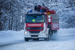 SchneeRosenau110119_Kollinger-62