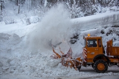 SchneeRosenau110119_Kollinger-72