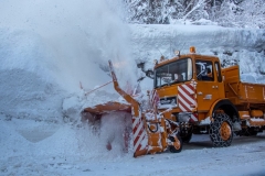 SchneeRosenau110119_Kollinger-76