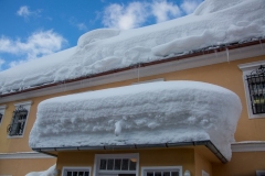 SchneeRosenau110119_Kollinger-77