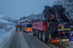 SchneeRosenau120119_Kollinger-1