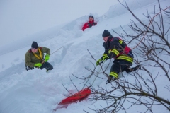 SchneeRosenau120119_Kollinger-140