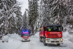 SchneeRosenau120119_Kollinger-79