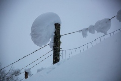 SchneeRosenau120119_Kollinger-83