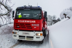 SchneeRosenau120119_Kollinger-84