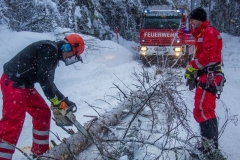 SchneeRosenau130119_Kollinger-20