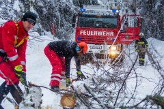 SchneeRosenau130119_Kollinger-21