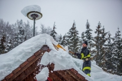 SchneeRosenau130119_Kollinger-45