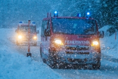SchneeRosenau130119_Kollinger-7