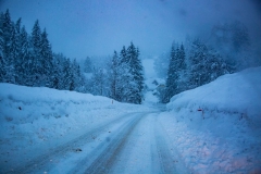 SchneeRosenau130119_Kollinger-9