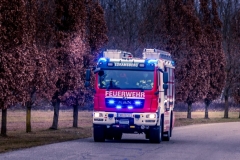 TLF_Edramsberg2020_Kollinger-24